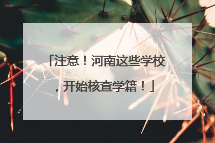 注意！河南这些学校，开始核查学籍！
