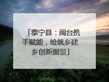 泰宁县：闽台携手赋能，绘就乡建乡创新图景