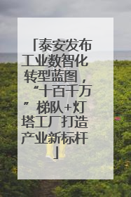 泰安发布工业数智化转型蓝图，“十百千万”梯队+灯塔工厂打造产业新标杆