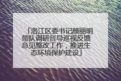 洛江区委书记颜丽明带队调研督导巡视反馈意见整改工作，推进生态环境保护建设