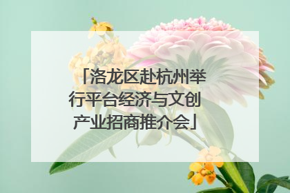 洛龙区赴杭州举行平台经济与文创产业招商推介会