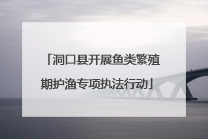 洞口县开展鱼类繁殖期护渔专项执法行动