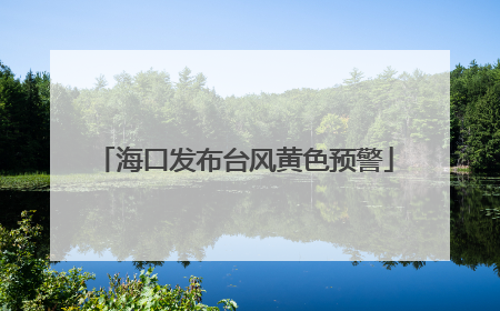 海口发布台风黄色预警