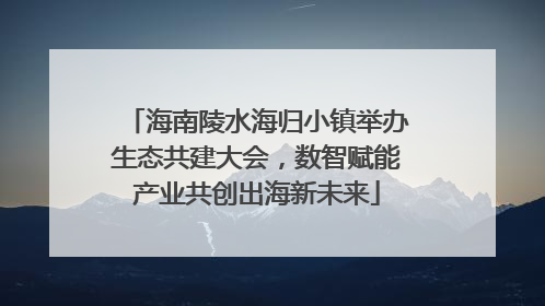 海南陵水海归小镇举办生态共建大会，数智赋能产业共创出海新未来