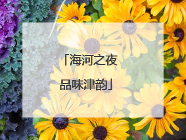 海河之夜 品味津韵