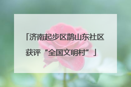 济南起步区鹊山东社区获评“全国文明村”
