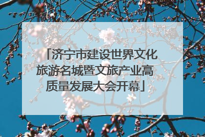 济宁市建设世界文化旅游名城暨文旅产业高质量发展大会开幕