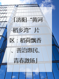 济阳“黄河·稻乡湾”片区：稻荷飘香、善治惠民、青春激扬