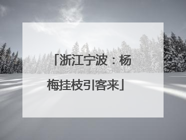 浙江宁波：杨梅挂枝引客来