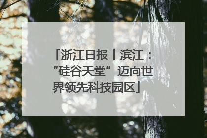 浙江日报丨滨江：“硅谷天堂”迈向世界领先科技园区