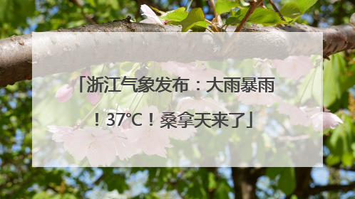 浙江气象发布：大雨暴雨！37℃！桑拿天来了