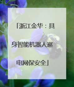 浙江金华：具身智能机器人巡电网保安全