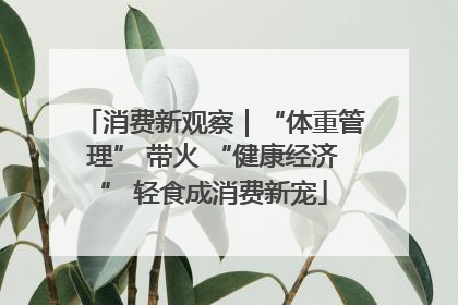 消费新观察｜“体重管理” 带火 “健康经济” 轻食成消费新宠