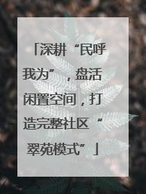 深耕“民呼我为”，盘活闲置空间，打造完整社区“翠苑模式”