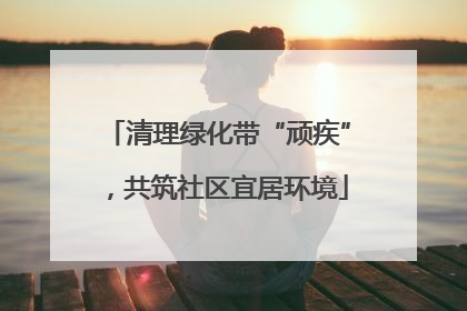 清理绿化带“顽疾”，共筑社区宜居环境