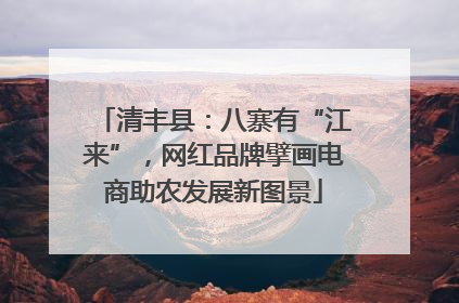 清丰县：八寨有“江来”，网红品牌擘画电商助农发展新图景