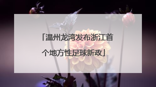 温州龙湾发布浙江首个地方性足球新政