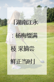湖南江永：杨梅缀满枝 采摘尝鲜正当时