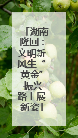湖南隆回：文明新风生“黄金” 振兴路上展新姿