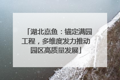 湖北嘉鱼：锚定满园工程，多维度发力推动园区高质量发展