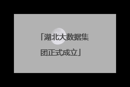 湖北大数据集团正式成立