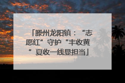 滕州龙阳镇：“志愿红”守护“丰收黄”夏收一线显担当