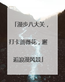 漫步八大关，打卡蔷薇花，邂逅浪漫风景