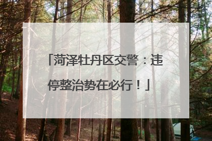 菏泽牡丹区交警：违停整治势在必行！
