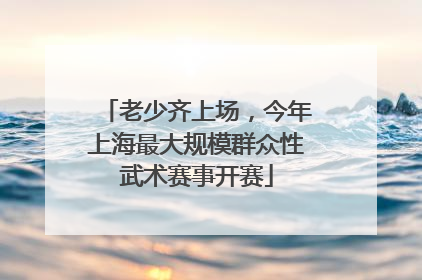 老少齐上场，今年上海最大规模群众性武术赛事开赛