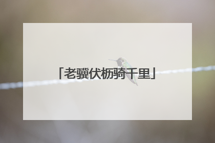 老骥伏枥骑千里
