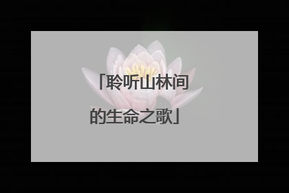 聆听山林间的生命之歌