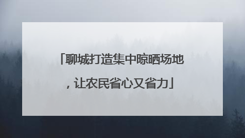 聊城打造集中晾晒场地，让农民省心又省力