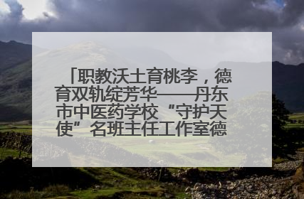 职教沃土育桃李，德育双轨绽芳华——丹东市中医药学校“守护天使”名班主任工作室德育实践之路