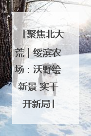 聚焦北大荒｜绥滨农场：沃野绘新景 实干开新局