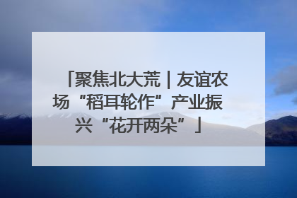 聚焦北大荒｜友谊农场“稻耳轮作”产业振兴“花开两朵”