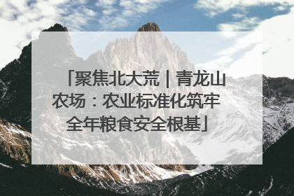 聚焦北大荒｜青龙山农场：农业标准化筑牢全年粮食安全根基