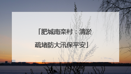 肥城南栾村：清淤疏堵防大汛保平安