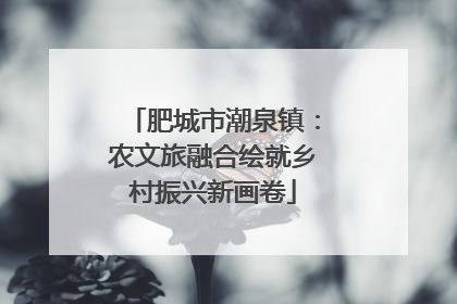 肥城市潮泉镇：农文旅融合绘就乡村振兴新画卷
