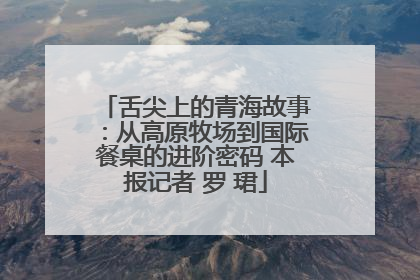舌尖上的青海故事：从高原牧场到国际餐桌的进阶密码 本报记者 罗 珺