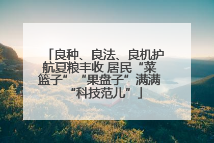 良种、良法、良机护航夏粮丰收 居民“菜篮子”“果盘子”满满“科技范儿”