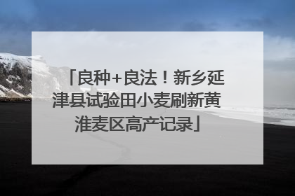 良种+良法！新乡延津县试验田小麦刷新黄淮麦区高产记录