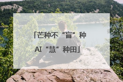 芒种不“盲”种 AI“慧”种田
