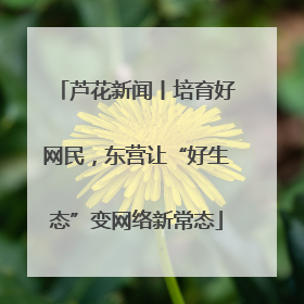 芦花新闻丨培育好网民，东营让“好生态”变网络新常态