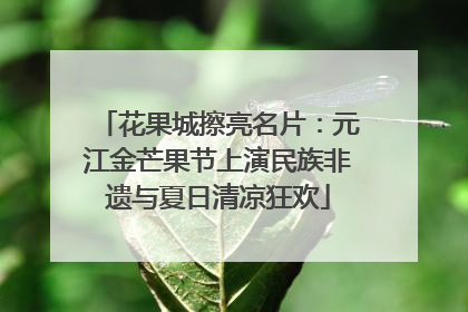 花果城擦亮名片：元江金芒果节上演民族非遗与夏日清凉狂欢