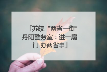苏皖“两省一街”丹阳警务室：进一扇门 办两省事
