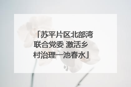 苏平片区北部湾联合党委 激活乡村治理一池春水