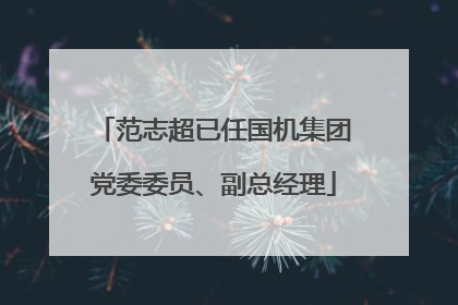 范志超已任国机集团党委委员、副总经理