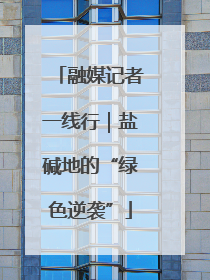 融媒记者一线行｜盐碱地的“绿色逆袭”