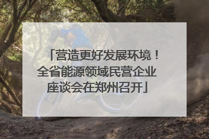 营造更好发展环境！全省能源领域民营企业座谈会在郑州召开