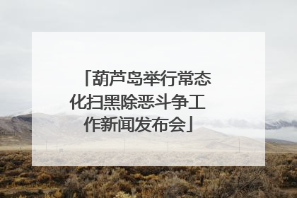 葫芦岛举行常态化扫黑除恶斗争工作新闻发布会